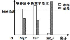 基因工程的操作工具辨析——以一道典型题目为例
