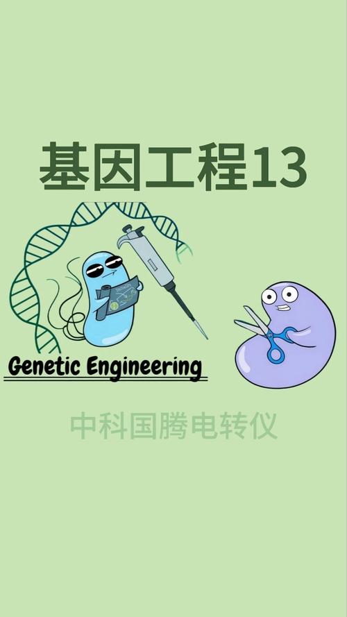 基因工程13