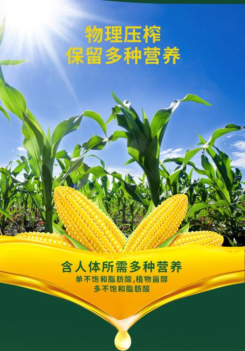 福临门非转基因压榨玉米油5lx1/2/4桶物理压榨食用油多规格组合
